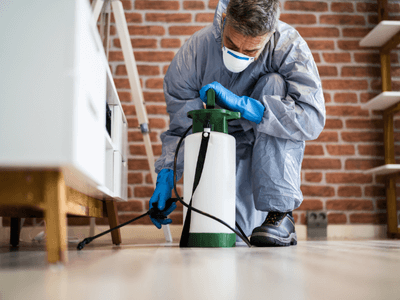 About Urban verra - pest control experts in Melbourne