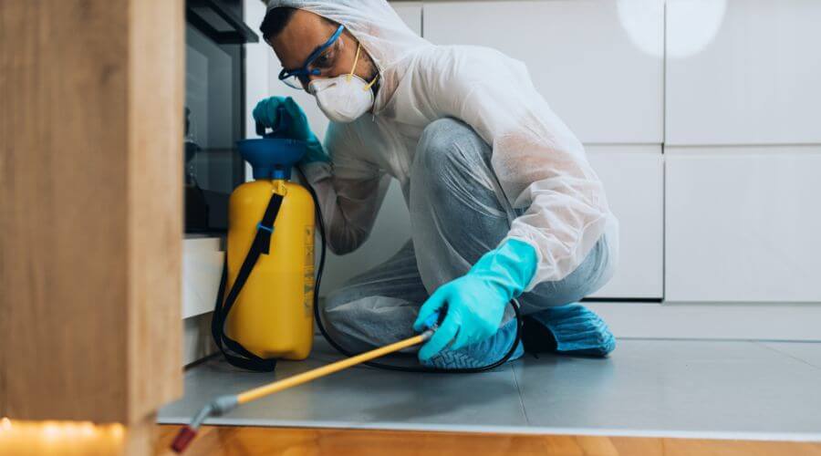 Professional pest control services in Melbourne